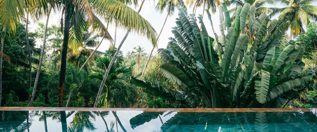 Vacation Rental Tropical garden villa close to surf