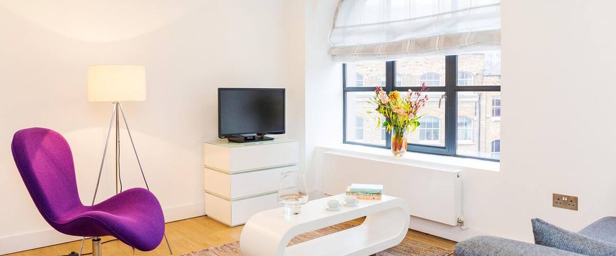 Vacation Rental Shoreditch Commercial Penthouse II E1
