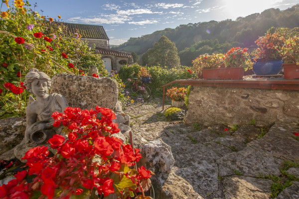 Secret Garden Cottage Branscombe Love Cottages