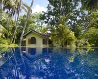 Vacation Rental Coconut Grove