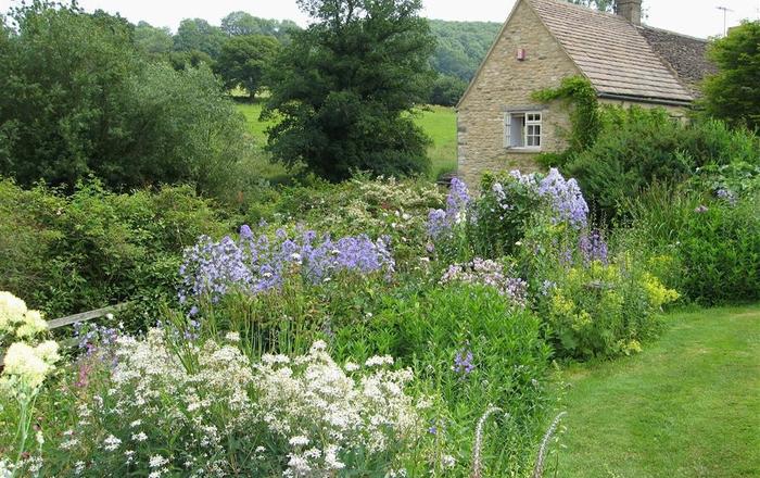 Dog Friendly Holiday Cottages In Cotswold District Passpawt