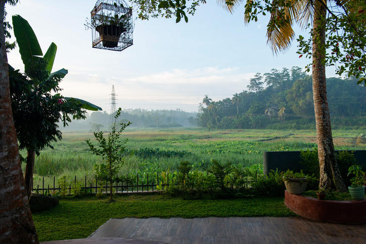 views across the rice fields from the terrace