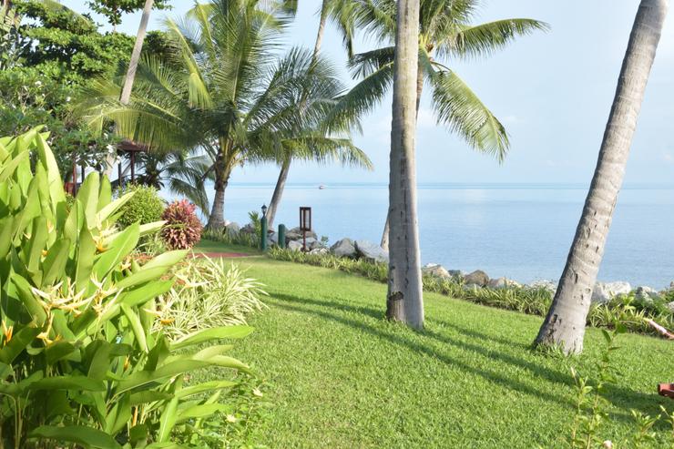 Coconut Paradise Gardens